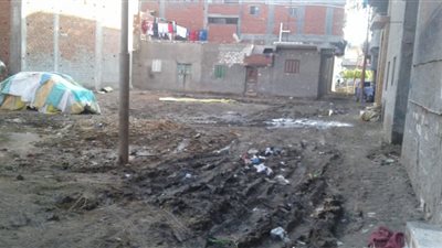 قري العرقوب بكفر الدوار 