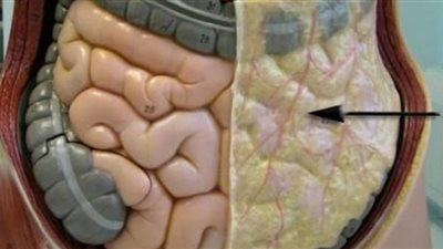 وداعًا لدهون البطن.. 5 أطعمة تساعدك على التخلص منها
