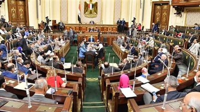 مجلس النواب يرفض رفع الحصانة عن النائبة رقية الهلالى لشبهة الكيدية