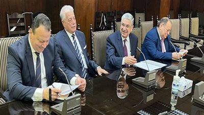 محافظ جنوب سيناء: التنسيق الكامل مع المستثمرين العاملين في مجال الطاقات المتجددة