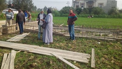 حملات مكثفة لإزالة التعديات علي الأراضي الزراعية بدمنهور ووادي النطرون