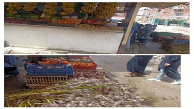 تعرف على أسعار الخضروات والفاكهة بالإسماعيلية لليوم الإثنين 18 إبريل