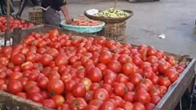 البامية بـ 60 و الطماطم و الملوخية بـ 20 جنيه .. إنخفاض أسعار الخضروات فى أسواق سوهاج