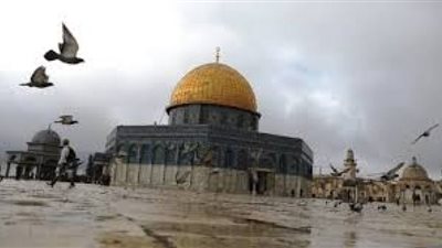 القنصلية الفلسطينية تحتفل باليوم العالمي للتضامن مع شعبها