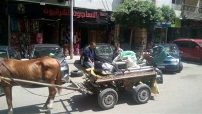منها مصادرة وسائل النقل وغرامة 10 ألاف جنيه..القانون يقف بالمرصاد أمام النبيشة