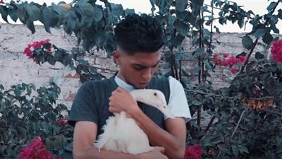 يوسف سوستة صاحب «البحث عن شيماء»: أغنيتي اسكتش كوميدي وهقدم في النقابة (فيديو)