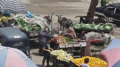 انخفاض ملحوظ في أسعار الخضروات والفاكهة بأسواق سوهاج