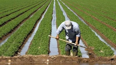 متحدث الري: البحث العلمي شديد الأهمية لتوفير بدائل مختلفة للاستفادة من المياه