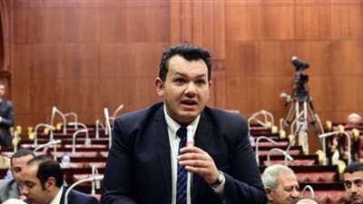 نائب التنسيقية ينتقد عدم تطبيق الحكومة للحد الأقصى للأجور