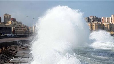 الإسكندرية تستعد لمواجهة 