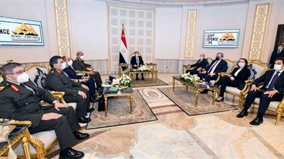 السيسي يلتقي رئيس شركة 