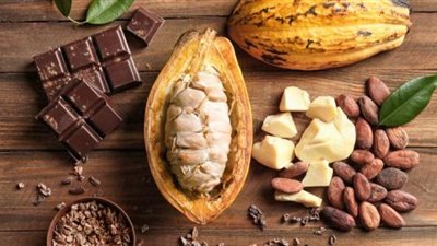 الكاكاو البديل الأمثل للقهوة.. طبيب يوضح