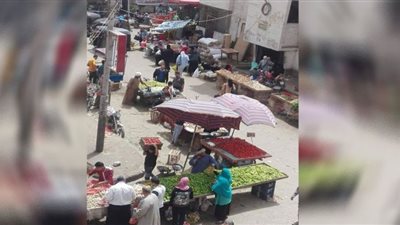 البامية والفلفل الألوان الأعلى سعرًا في أسواق الخضروات بسوهاج