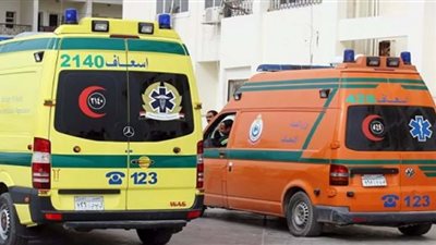 طالب يشرع في قتل آخر بسوهاج (تفاصيل)