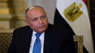 شكري يستقبل رئيس قطاع الاستدامة بشركة جنرال إلكتريك