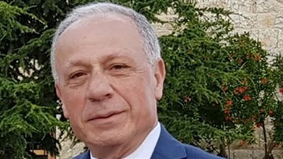 وزير الدفاع اللبناني يبحث سبل وقف السرقات والتعديات على خطوط النفط والغاز