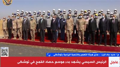 تنمية توشكى: مصر في طريقها للاكتفاء من حوالي 90% من القمح العام المقبل (فيديو)