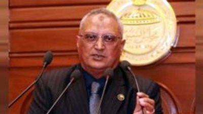 برلماني: جولة الرئيس السيسي بمشروع «توشكى الخير» إنجاز يدعم تحقيق الأمن الغذائي