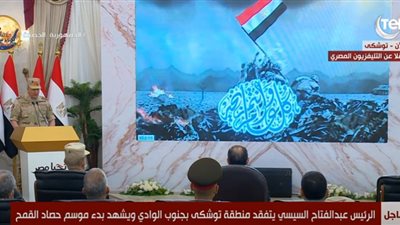 مشروعات الخدمة الوطنية عن حصاد توشكى: نحصد اليوم ما غرسته أيدينا (فيديو)