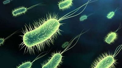 علماء يحصلون على تسجيل صوتي للبكتيريا قبل أن تُقتل