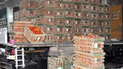 الطماطم تعاود الإرتفاع.. واستقرار أسعار باقي الخضروات بالفيوم