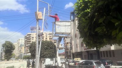 رفع 230 طن قمامة من الشوارع والميادين والطرق الرئيسية بالدقهلية
