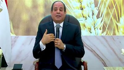 السيسي للإعلاميين: بنجري لسد الفجوة بين نمو الدولة وزيادة عدد شعبها (فيديو)