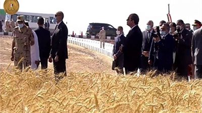 صباح الخير يا مصر يعرض تقريرًا يبرز نجاح مشروع توشكى (فيديو)