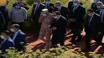 الزراعة: توشكى مشروع واعد في زراعة القمح والمساحات الجديدة إنجاز كبير للدولة (فيديو)