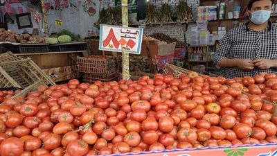 الطماطم 8 جنيه للكيلو و البطاطس 6 جنيهات ..أسعار أسواق البحيرة لليوم 22 ابريل