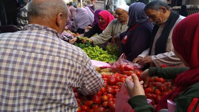 الطماطم تعاود الصعود بأسواق الدقهلية