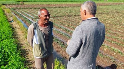 لجان لرصد إصابات المحاصيل الشتوية بالفيوم