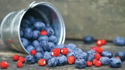 دراسة: التوت البري مفيد لحرق دهون البطن