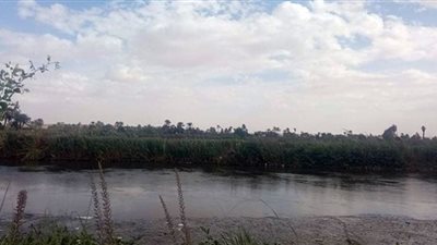 الطقس البارد يضرب قري المنيا