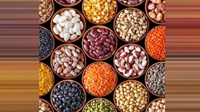 الفول منتج ممتاز لخفض نسبة السكر والكولسترول في الدم