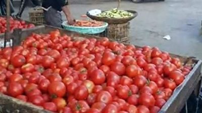 انخفاض أسعار الطماطم بـ اسواق الخضروات والفاكهة بسوهاج