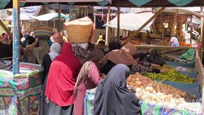 بإستثناء الطماطم.. استقرار أسعار الخضروات في أسواق الفيوم