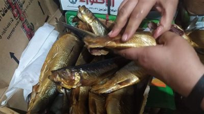 تكثيف الحملات الرقابية على محلات بيع الفسيخ والرنجة بالفيوم
