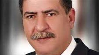 برلماني: عيد تحرير سيناء سيظل شاهد على تلاحم الشعب المصري مع قواته المسلحة