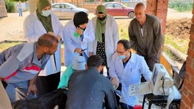 بيطري الشرقية يُجري المسح التناسلي لـ6 آلاف رأس ماشية والتلقيح الاصطناعي لـ1469