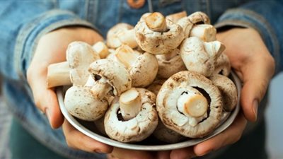 خبيرة تغذية تكشف 3 فوائد سحرية لأكل المشروم