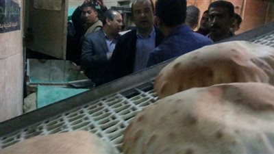 حنفي: تعميم تحويل زيت الطعام لسولار قريبًا