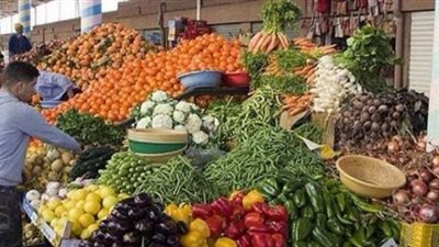 أسواق خضروات المنيا ... الطماطم ب15 وورق العنب 25 جنيها