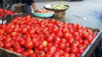 تعرف على أسعار الخضراوات والفواكه بمحافظة سوهاج