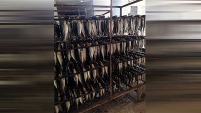 تحرير 14 محضرًا تموينيًا في حملة مكثفة بالغربية