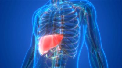 هؤلاء الأكثر عرضة للإصابة بالكبد الدهني غير الكحولي