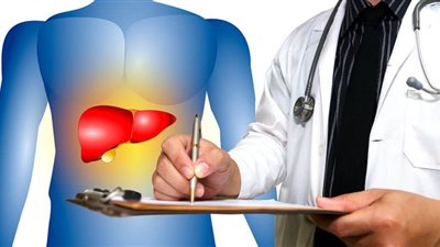 ما هي المراحل الرئيسية لمرض الكبد الدهني؟