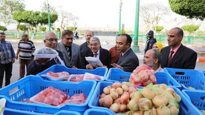 محافظ المنيا يشهد وصول سيارات