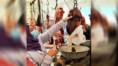 تحرير 114 محضرًا وضبط 11 طن لحوم ودجاج وأسماك مخالفة خلال حملات بالشرقية