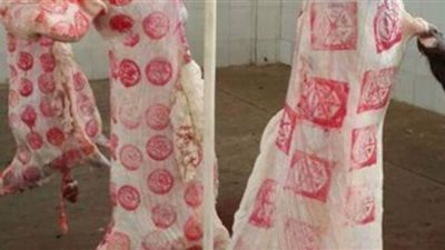 التحفظ علي مواد صناعية مجهولة المصدر تستخدم في ختم اللحوم بالإسكندرية